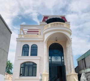 Dự án 5