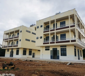 Dự án 6
